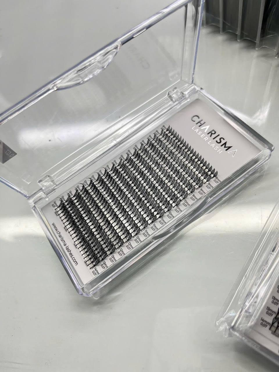 𝐋𝐀𝐒𝐄𝐑𝐋𝐀𝐒𝐇 Art Series 𝐀𝐧𝐢𝐦𝐞 𝐅𝐞𝐚𝐭𝐡𝐞𝐫𝐬