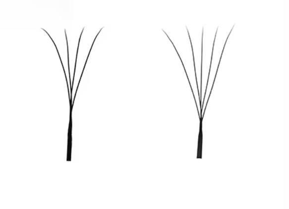 5DW - Speedy Lashes W-series narrow fan